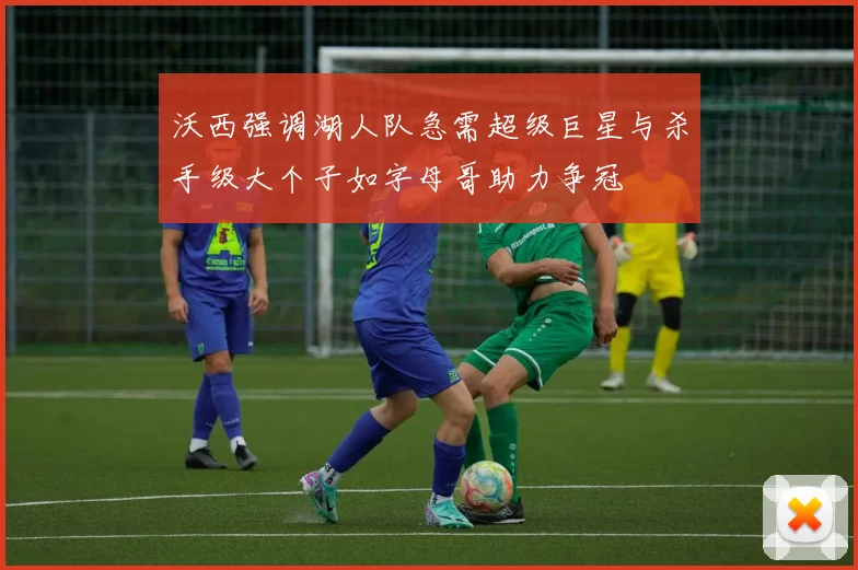 沃西强调湖人队急需超级巨星与杀手级大个子如字母哥助力争冠
